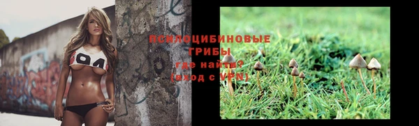 MESCALINE Вяземский